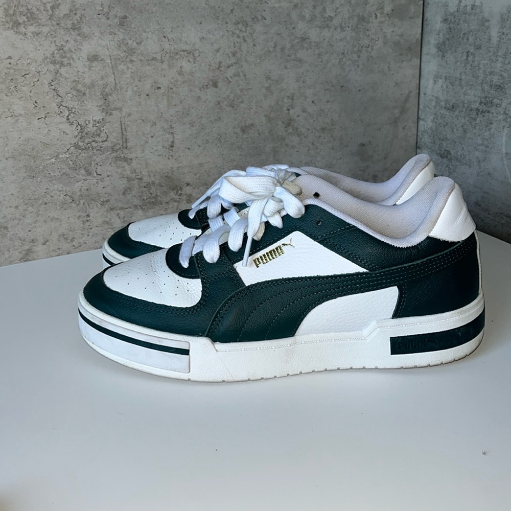 Platform pumas